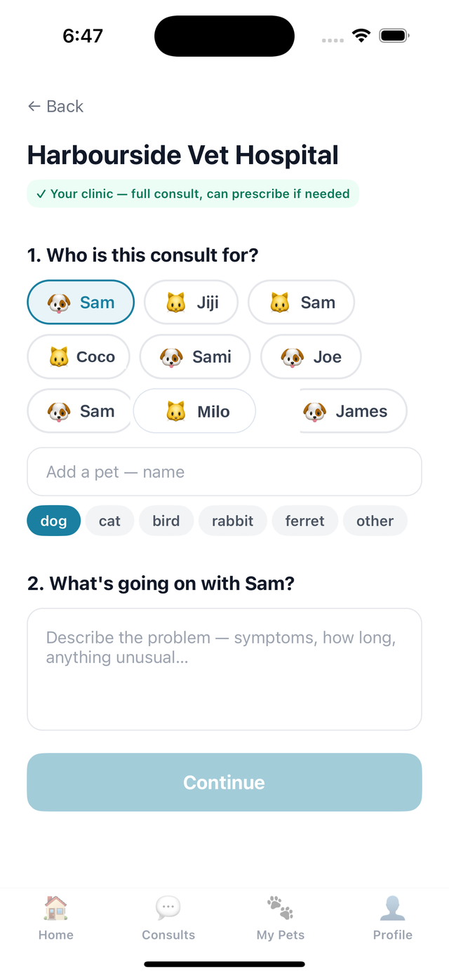 Request a consult, pick the pet and describe what's going on